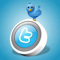 twitter-pajaro