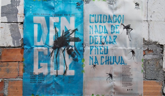 mosquitos