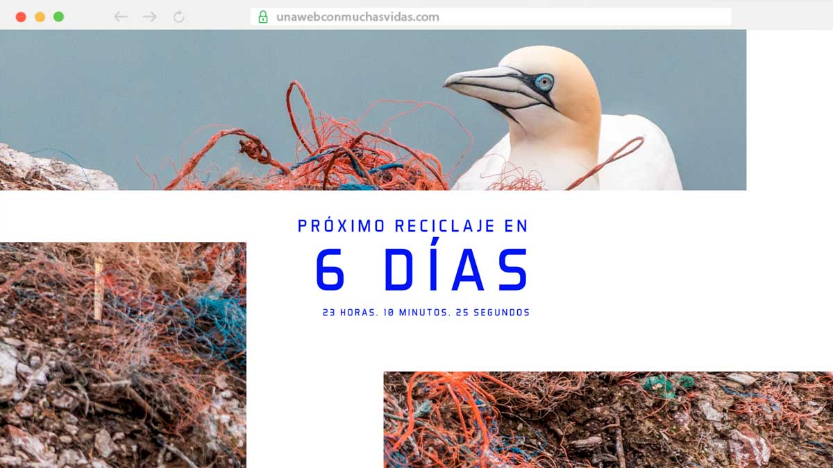 primera web que ser recicla unawebconmuchasvidas.com unawebconmuchasvidas.com