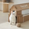 Samsung casas gatos