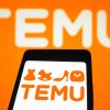 Temu inversion publicitaria