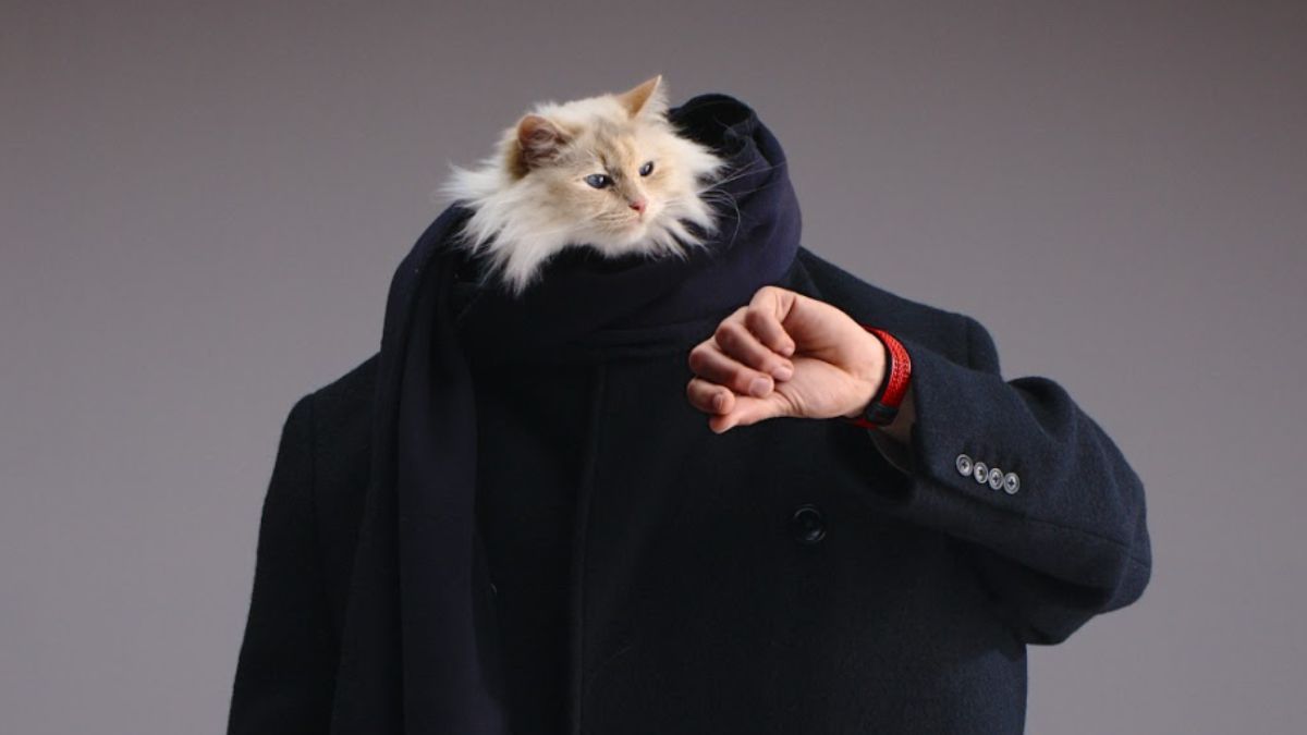 La gata de Karl Lagerfeld salta al estrellato protagonizando la campaña de Hublot