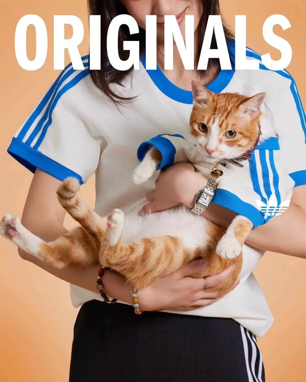Adidas Pets
