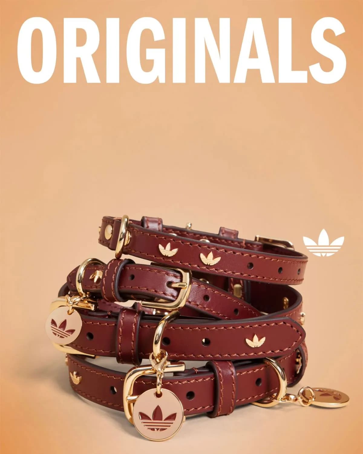 Adidas Pets