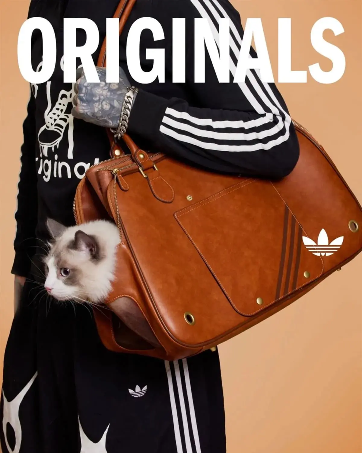 Adidas Pets