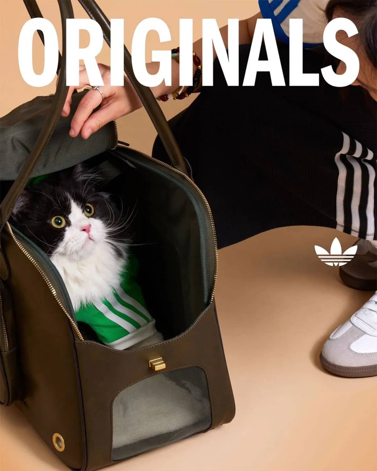 Adidas Pets