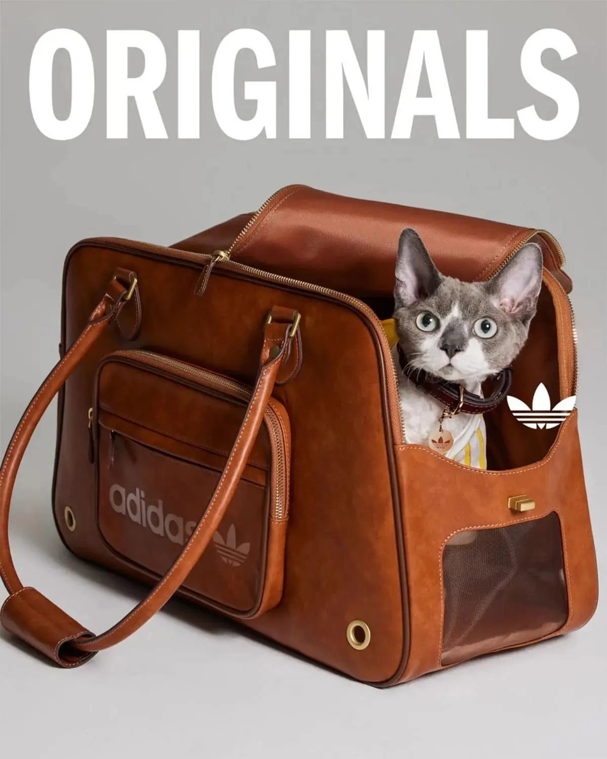 Adidas Pets