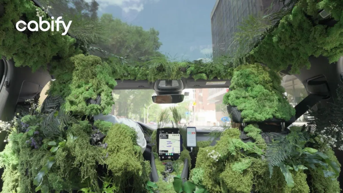 cabify este bosque es tuyo