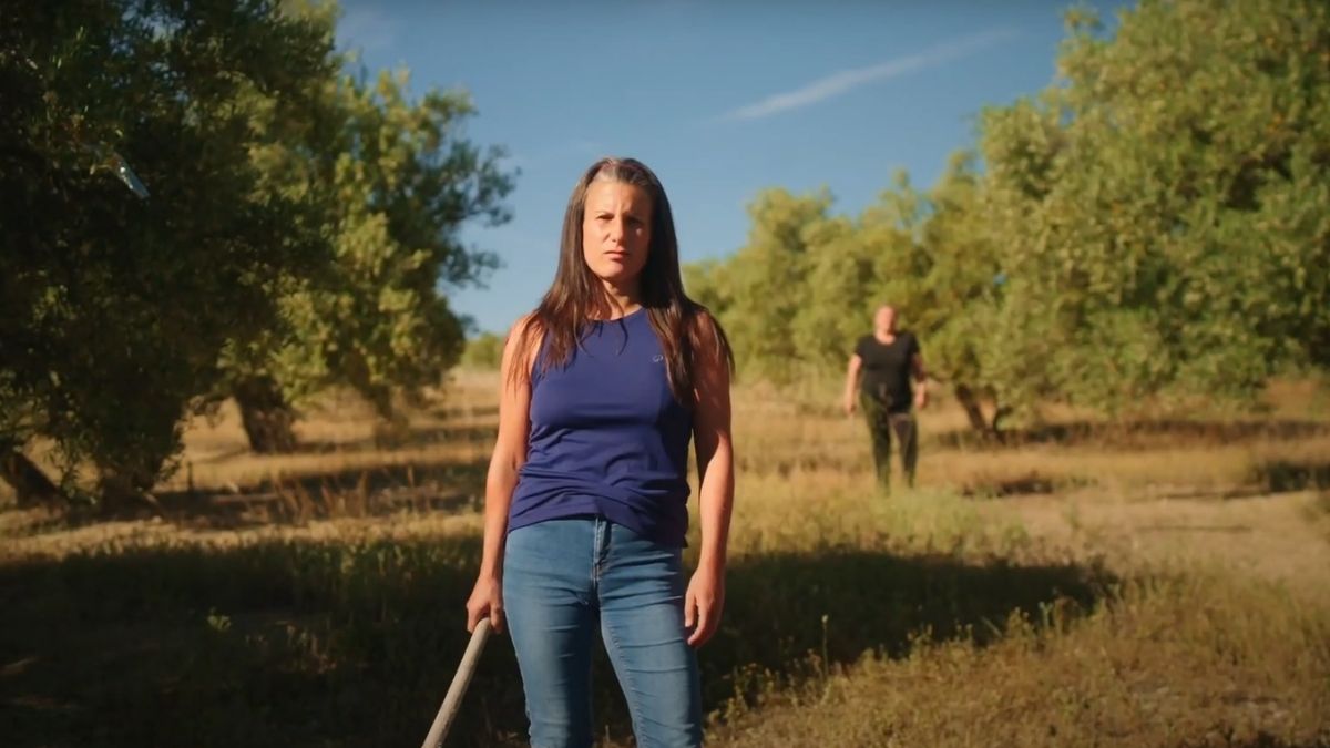 Campaña Alvalle