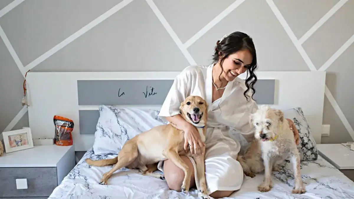 mayka nirah perros
