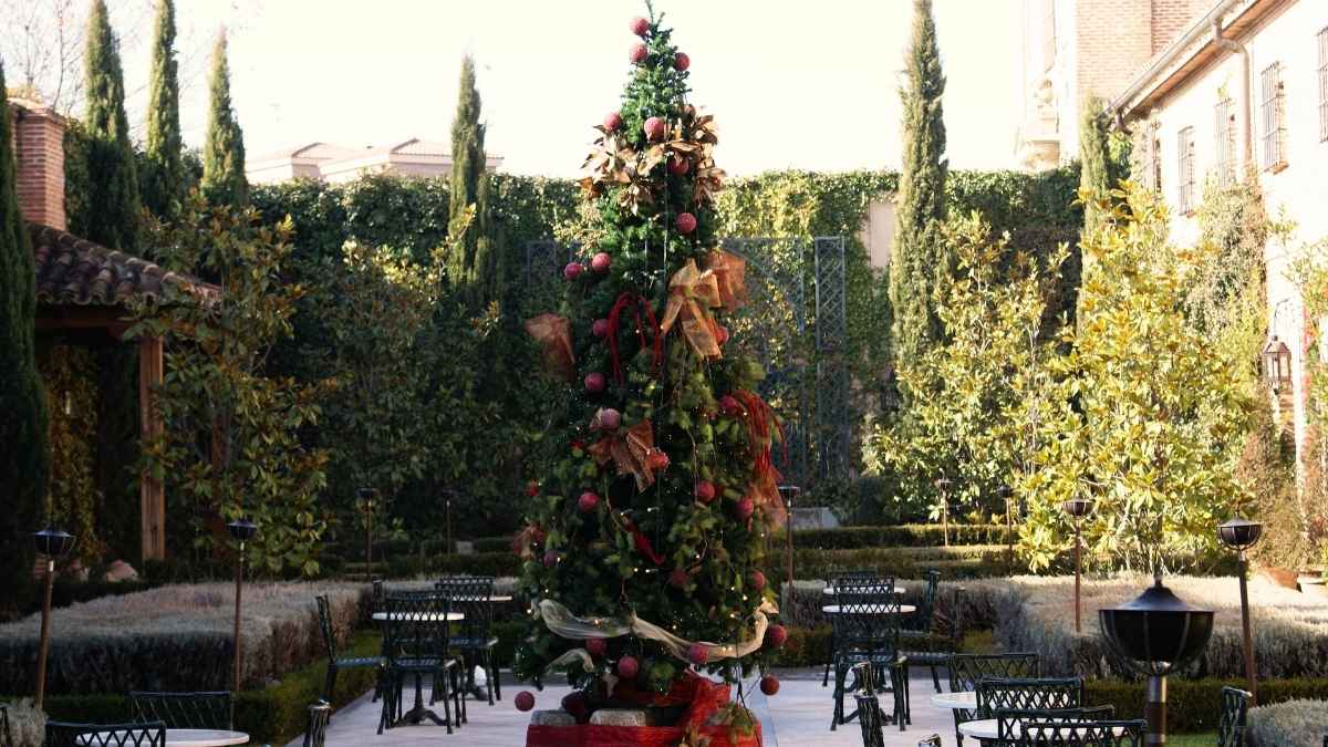 evento corporativo Navidad