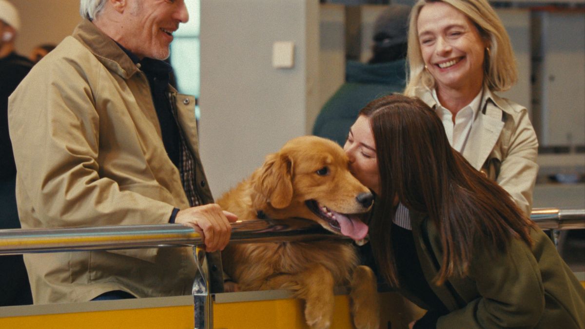 Vueling campaña de Navidad
